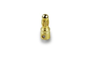 Gold Plug 3.5mm male