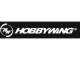 Hobbywing
