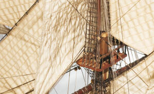 Frigate Diana Ship Building Kit 1:85