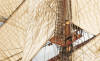 Frigate Diana Ship Building Kit 1:85
