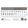 Set Figuren L Hermione La Fayette