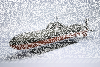 Submarine Akula