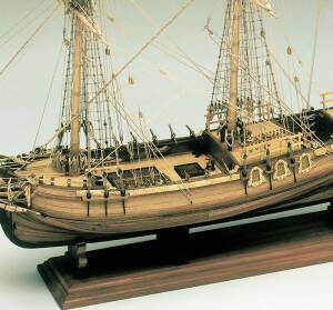 Schnellsegler Amphion