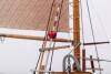 Cutter Mary Ann Ship Model Kit 1:33 Wood
