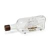 Bottle Ship Schooner Hannah Model Ship Kit 1:300