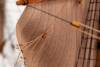 Galeone Mayflower Standmodell Bausatz 1:60