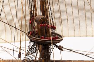 Warship WASA  Ship Model Kit   1:75