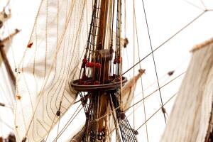 Warship WASA  Ship Model Kit   1:75