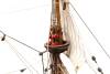 Warship WASA  Ship Model Kit   1:75