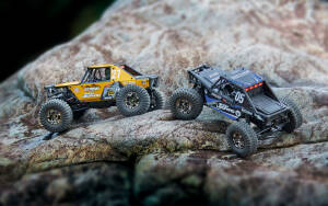 Crawler Snow Leopard 1/24 Brushless