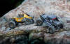 Crawler Snow Leopard 1/24 Brushless