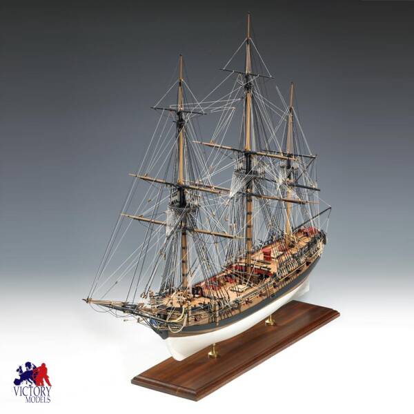british H.M.S. Fly Ship Model Kit 1:64