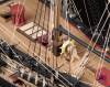 british H.M.S. Fly Ship Model Kit 1:64