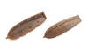 Rowing boat, 50 mm, plastic (pack of 2)