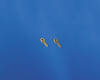Flat eye bolts 3x7mm (approx. 100)