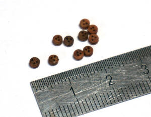 Dead Eye 2.5mm