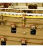 Warship Wasa 1:65 Wooden Model Ship Kit