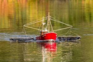 Fishing Cutter Jule