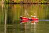 Fishing Cutter Jule