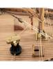 FIFIE Scottish Fishing Cutter